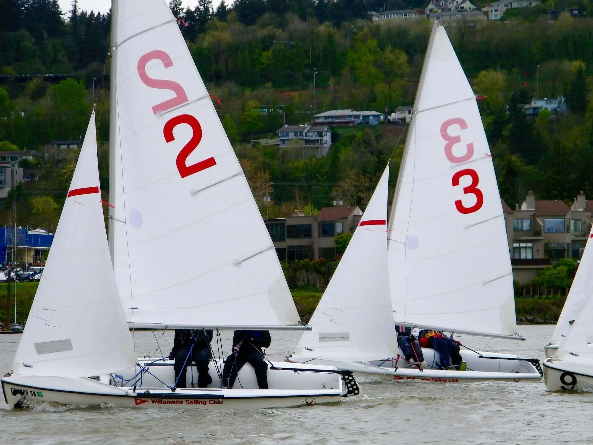 C420 club sail for OCC by isails 4